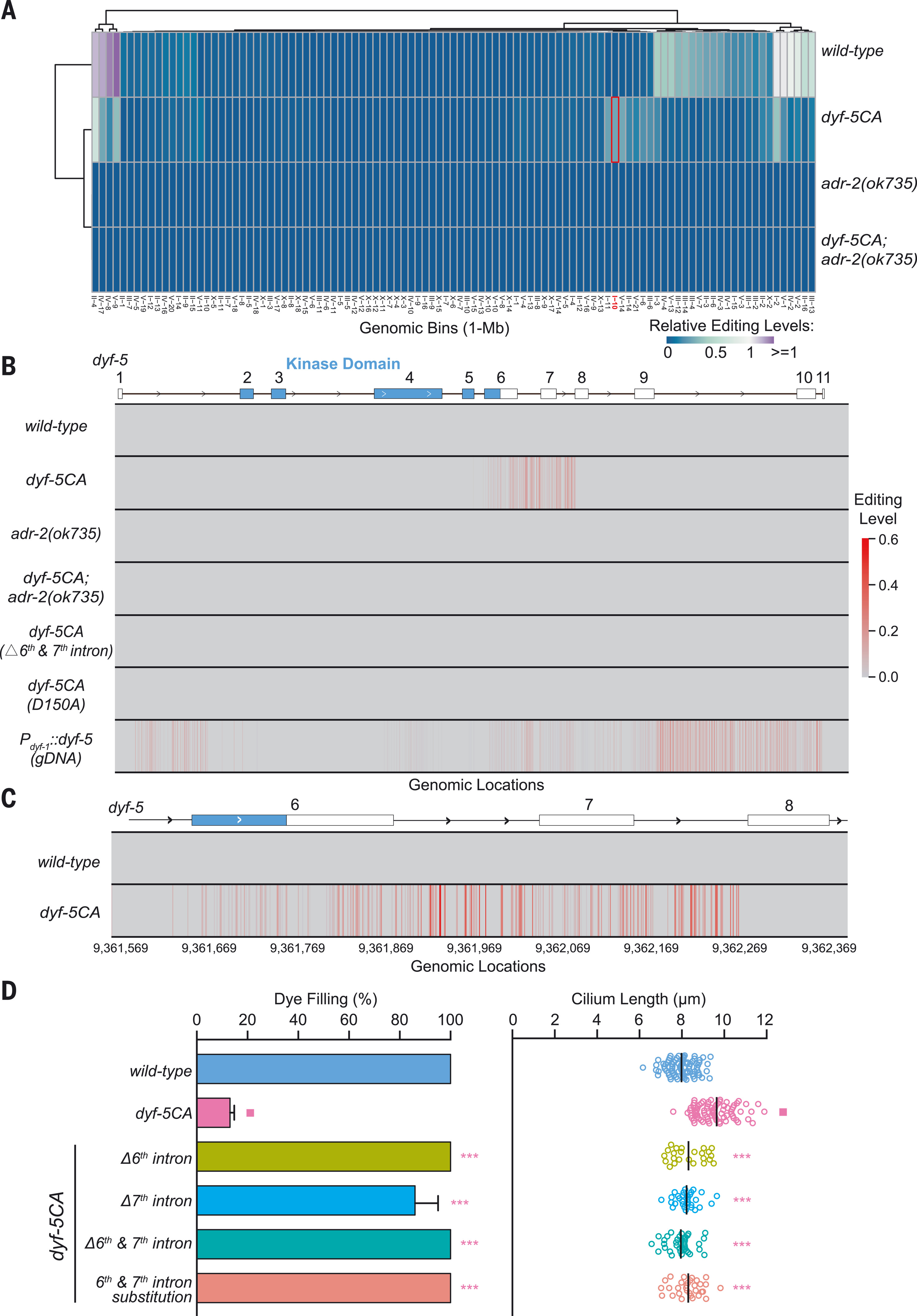 RNA editing restricts hyperactive ciliary kinases